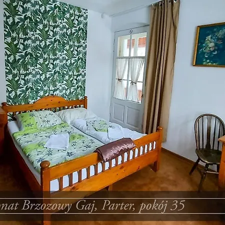 Brzozowy Gaj - Pensjonat Karpacz Exteriér fotografie
