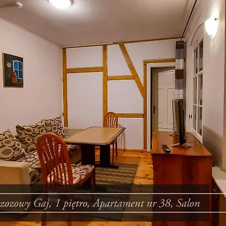 Brzozowy Gaj - Pensjonat Karpacz Exteriér fotografie