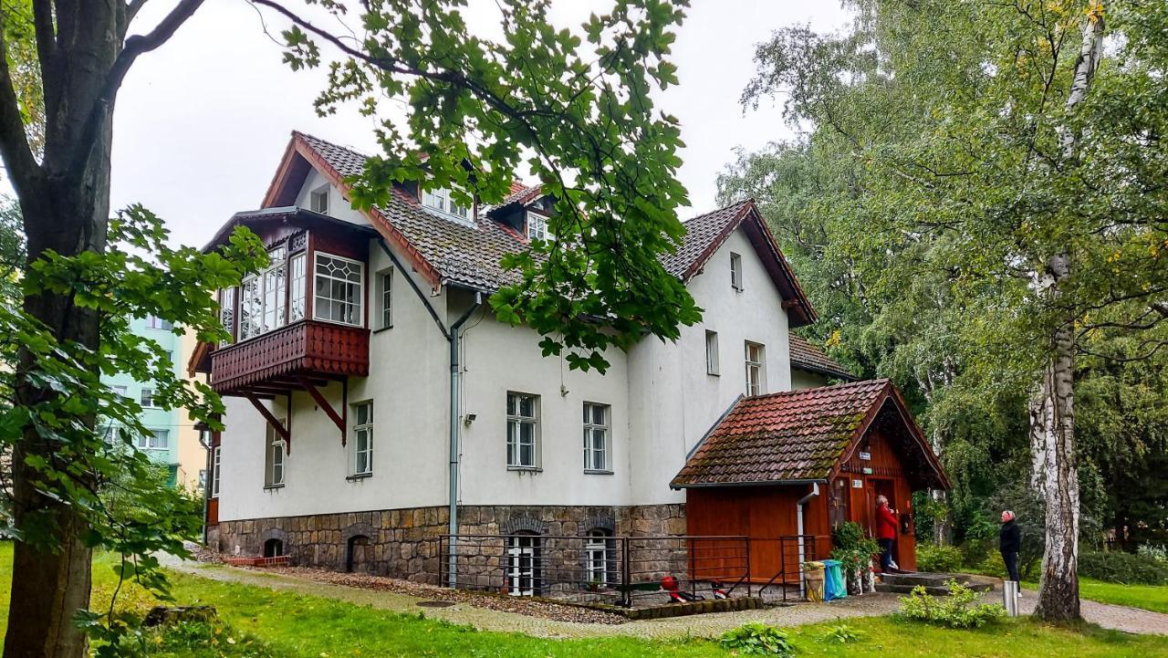 Brzozowy Gaj -