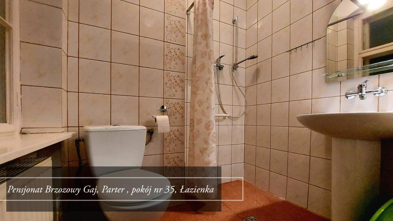 Guest house Brzozowy Gaj - *