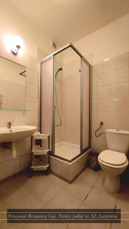 Brzozowy Gaj - Guest house *