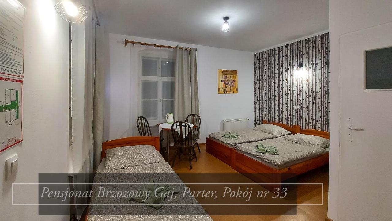 Guest house Brzozowy Gaj - Karpacz