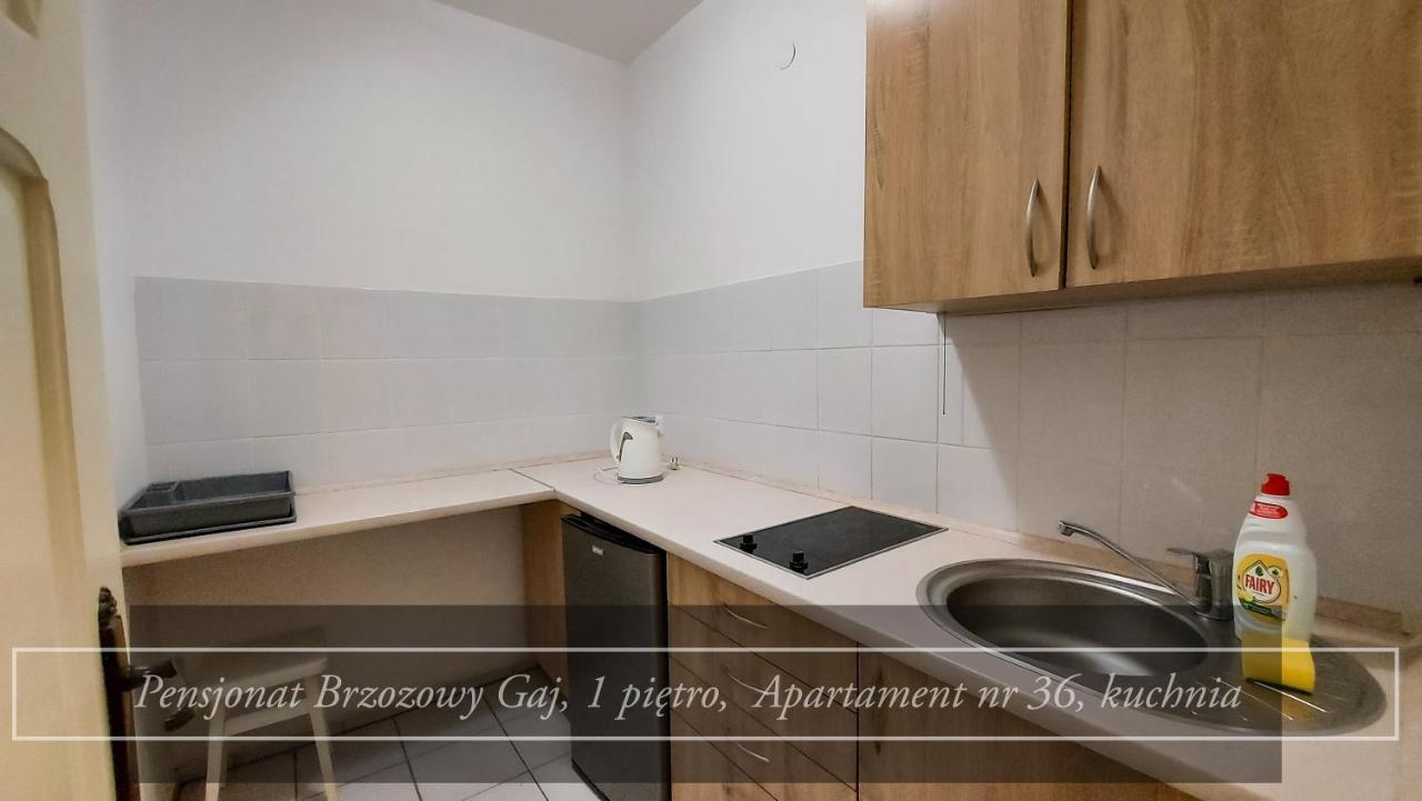 Brzozowy Gaj - Guest house