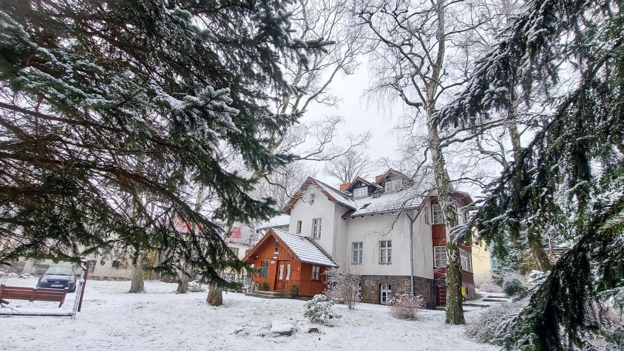 Guest house Brzozowy Gaj -