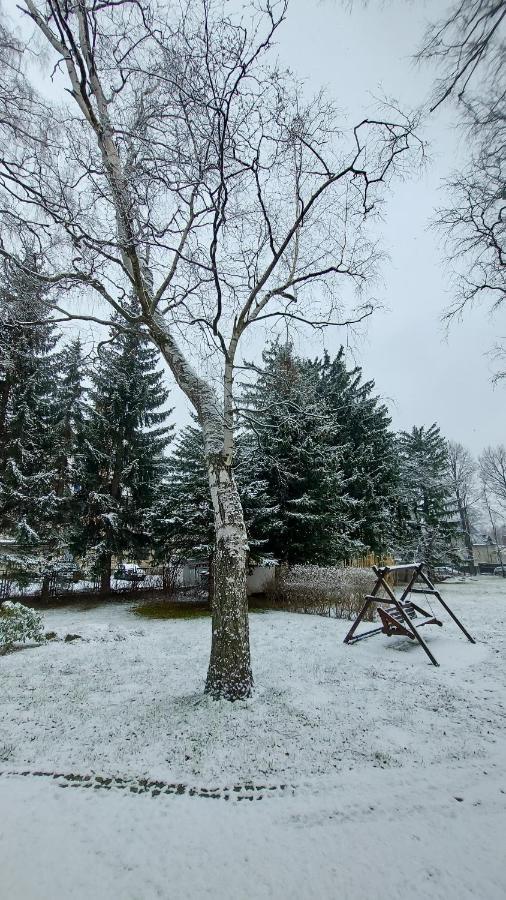Brzozowy Gaj - Guest house Karpacz