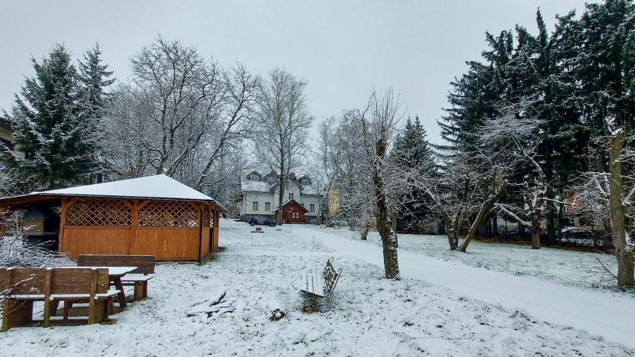 Brzozowy Gaj - *