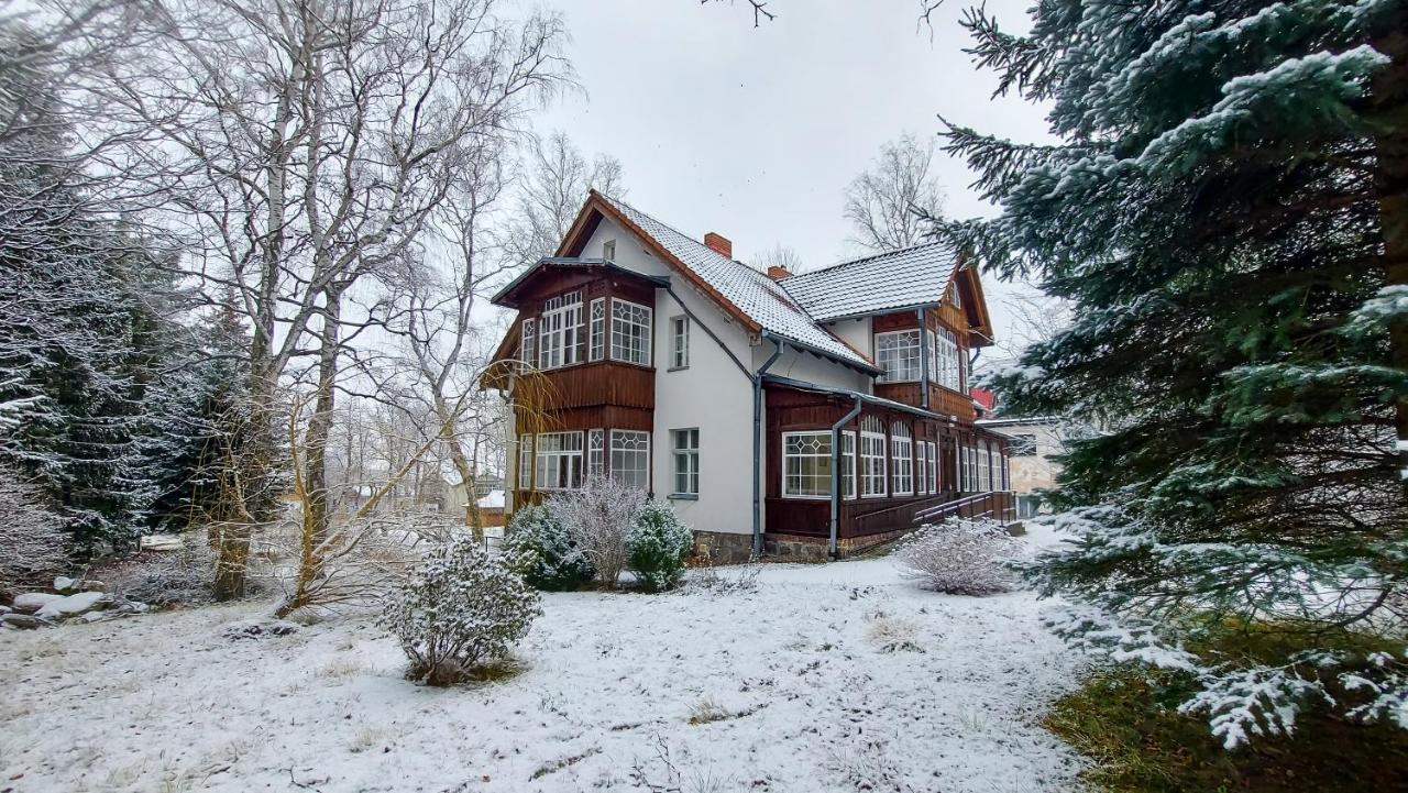 Guest house Brzozowy Gaj - Karpacz