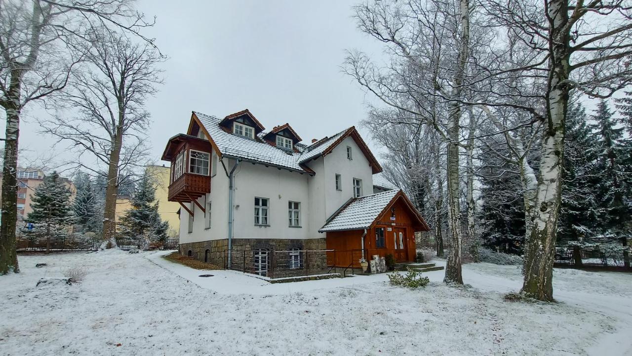 Brzozowy Gaj - * Karpacz