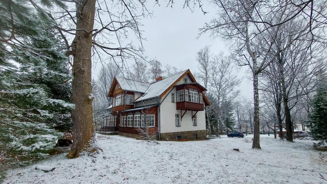 Guest house Brzozowy Gaj -